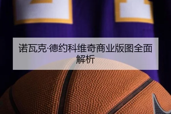 诺瓦克·德约科维奇商业版图全面解析 - kaiyun